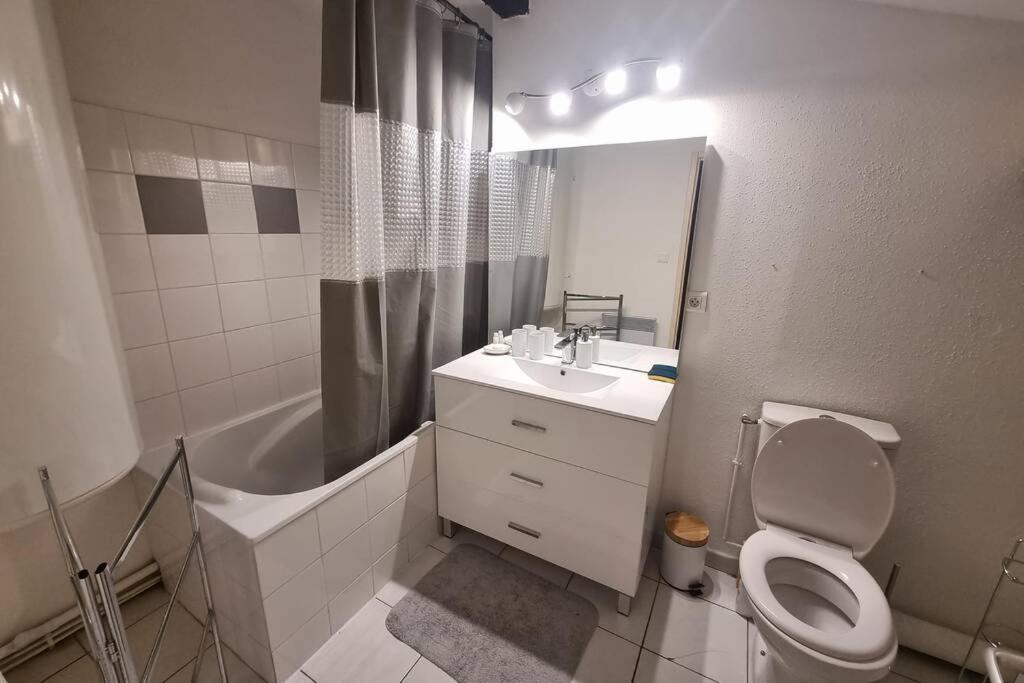 Appartement Exceptionnel 4 Etoiles Hyper Centre Albi 65 M2 Au 4Eme Etage Sans Ascenseur Avec Une Tour Du 12Eme Siecle Zewnętrze zdjęcie